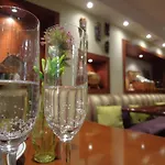 Otel Feronya